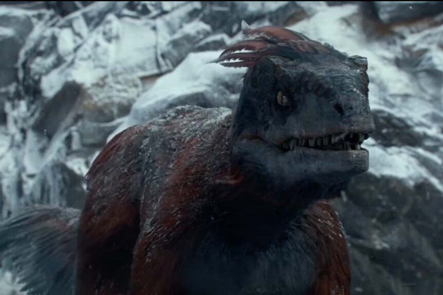 A Pyroraptor appears in Jurassic World Dominion (2022)