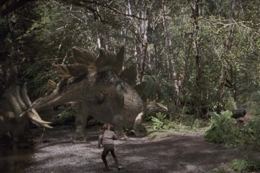 A Stegosaurus in the forest with a human in the  Jurassic Park film series.