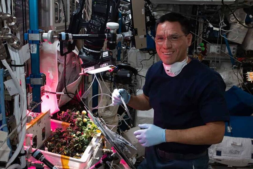Frank Rubio growing tomatoes while surrounded by tech in the International Space Station
