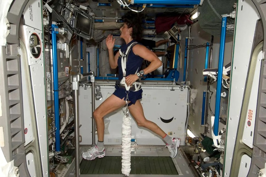 NASA astronaut Sunita Williams exercises on the International Space Station.