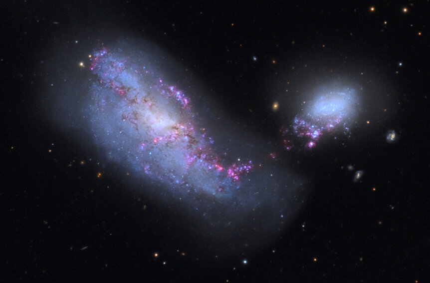 A wide view of NGC 4490 shows the interloping NGC 4485, a smaller irregular whose gravity distorted the bigger galaxy’s shape. Credit: Michael Gariepy/Adam Block/NOAO/AURA/NSF