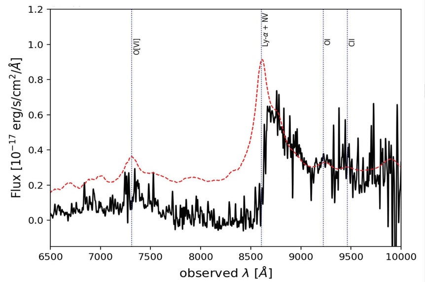The spectrum of the blazar J0309 (black) has been redshifted by a factor of about 5, as shown by a model spectrum (dashed red line) which has been shifted to match. Spectrum contributions by a few elements (oxygen, hydrogen, carbon) are indicated.