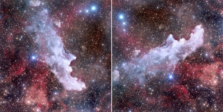 The Witch Head Nebula (left) looks like its eponym, but turn it 90° counterclockwise and it becomes the Running Ghost Nebula. Credit: Adam Block /Steward Observatory/University of Arizona