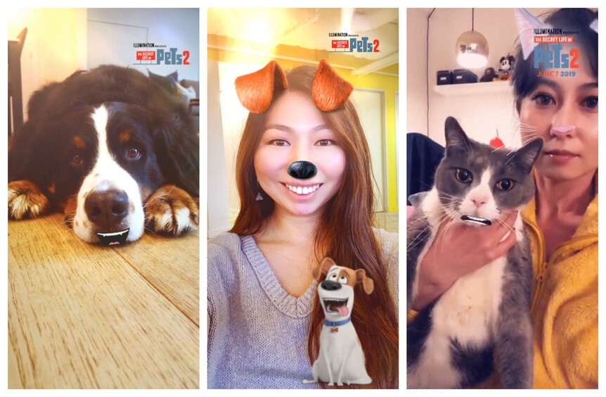 Secret Life of Pets 2 Snapchat