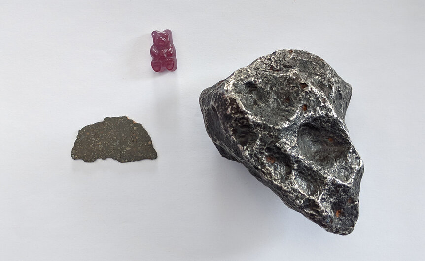 A slice of a carbonaceous chondrite meteorite from Morocco that fell in 2015 (left; note the small mineral growths) and a much larger iron meteorite called Campo del Cielo (right). Gummy bear for scale. Credit: Phil Plait