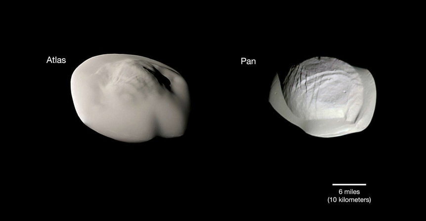 Saturn’s moons Atlas (left) and Pan (right), both of which have large flattened rims around them, making them look like ravioli. Credit: NASA/JPL-Caltech/Space Science Institute