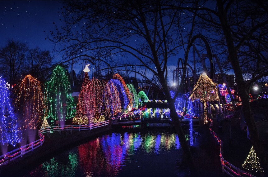Lit trees in multiple colors at Hersheypark