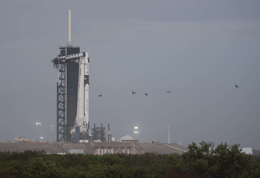 The Crew-1 Dragon Resilience on top of the Falcon 9 rocket on the launch pad during a preflight check on 10 November, 2020. Credit: NASA