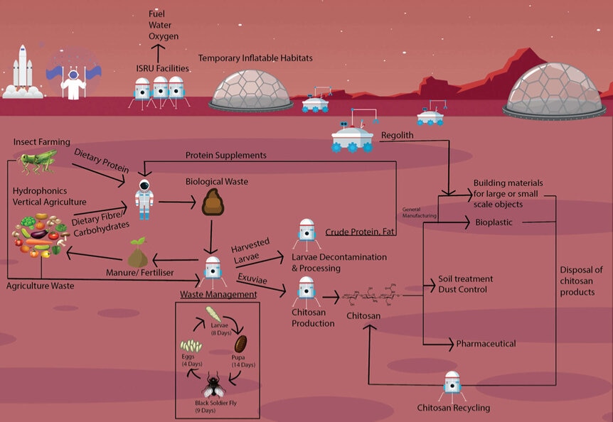 Mars chitin habitat cycle