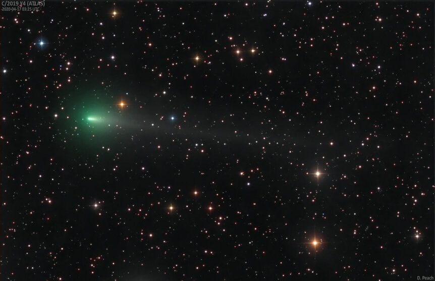 Comet C/2019 Y4 (ATLAS) glows green due to the presence of diatomic carbon, common in comets. Credit: Damian Peach