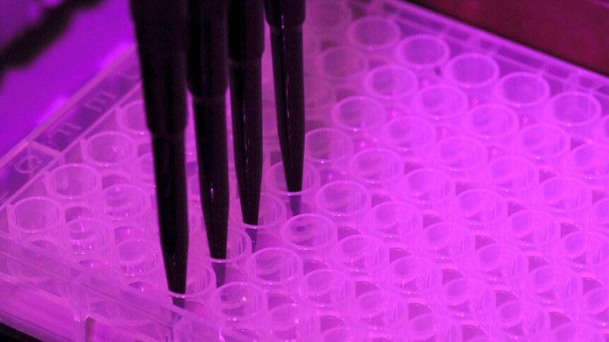 DNA