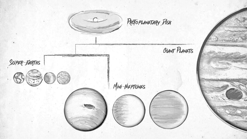 exoplanet family tree
