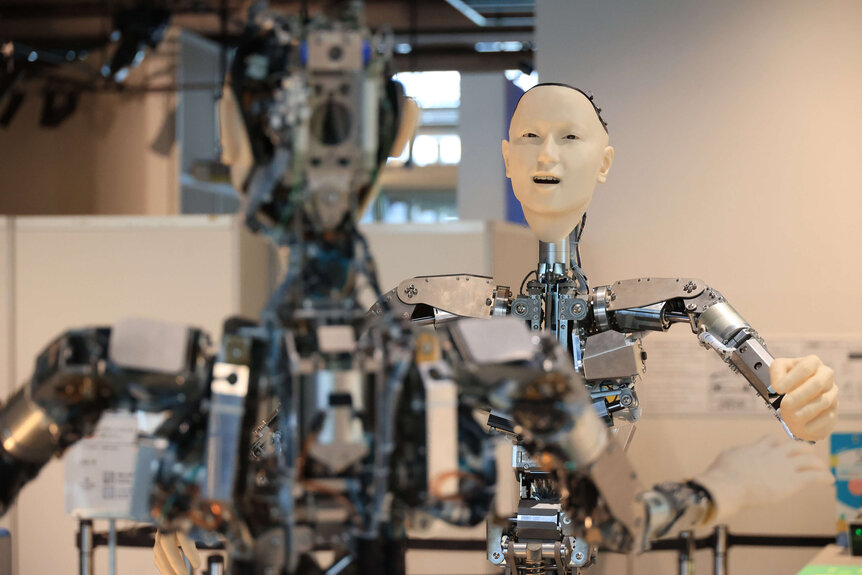 Humanoid Android Robot