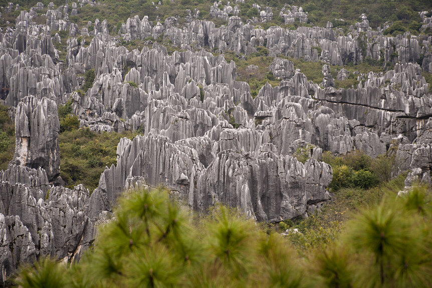 Shilin Stone Forest