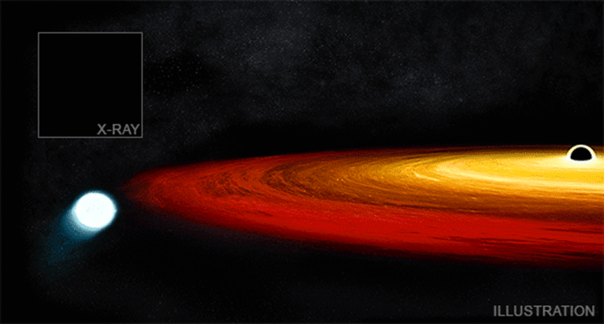gsn069_525Animation of the X-ray flares (inset) seen every 9 hours coming from the galaxy GSN 069 as material from a white dwarf is torn off by a black hole. Credit: X-ray: NASA/CXO/CSIC-INTA/G.Miniutti et al.; Illustration: NASA/CXC/M. Weiss