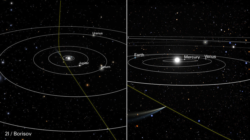Two views of the orbit of the comet 2I/Borisov. The wide view (left) shows it coming from deep space, well above the plane of the solar system, while a closer view (right) shows it passing the inner planets. 