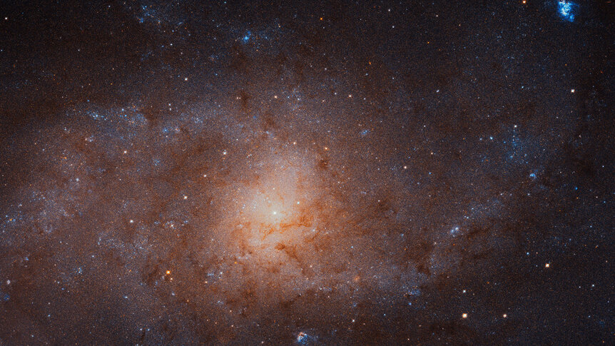 The Triangulum Galaxy, M33, is a spiral galaxy in the Local Group, a small cluster of galaxies that includes the Milky Way. Credit: NASA, ESA, and M. Durbin, J. Dalcanton, and B.F. Williams (University of Washington)