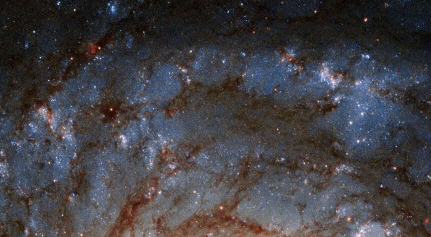 The top portion of NGC 3147, showing spiral arms lined with long clouds of dust, which redden and block starlight passing through them. Credit: ESA/Hubble & NASA, A. Riess et al.