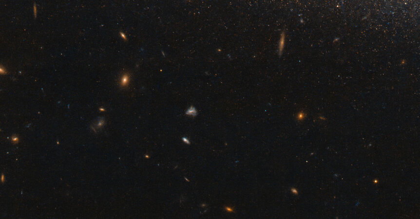 One section of a Hubble image of the galaxy NGC 4455 reveals hundreds of much more distant background galaxies, despite this being only a 40-minute exposure. Credit: ESA/Hubble & NASA, I. Karachentsev et al.