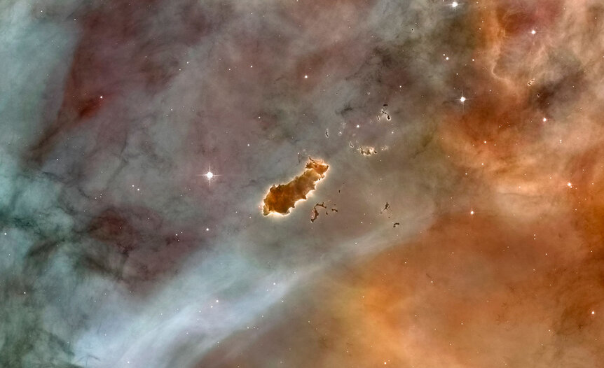 A dense clump of dust in the Carina Nebula, sculpted by intense radiation of newborn stars, looks like a giant space tardigrade. Credit: NASA, ESA, N. Smith (University of California, Berkeley), and The Hubble Heritage Team (STScI/AURA)
