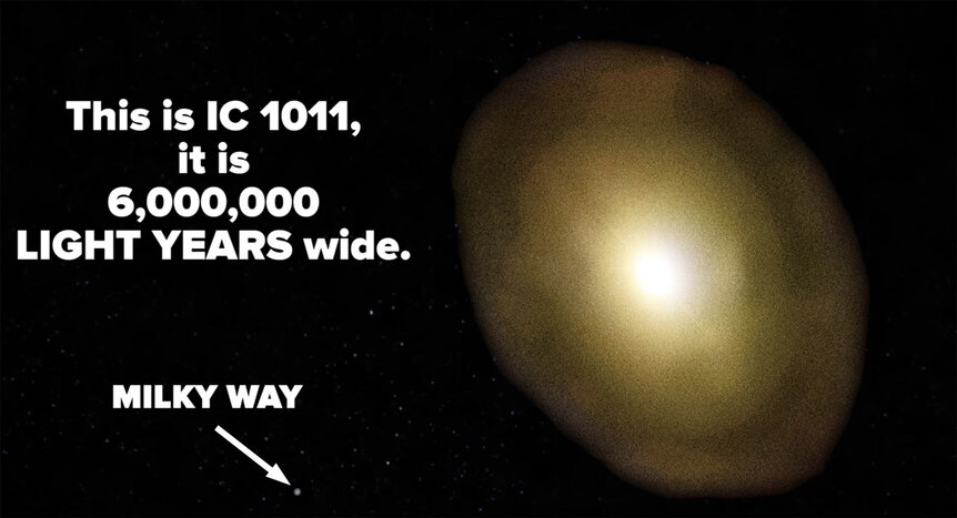 Drawing of the monster galaxy IC 1011 compared to the Milky Way. BuzzFeedBlue, from the video