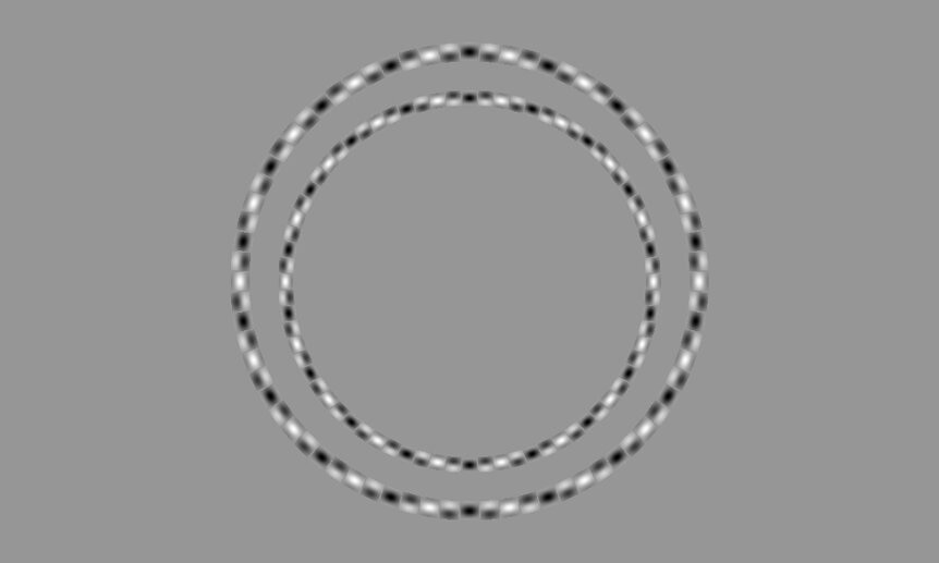 These are two concentric circles. Seriously!