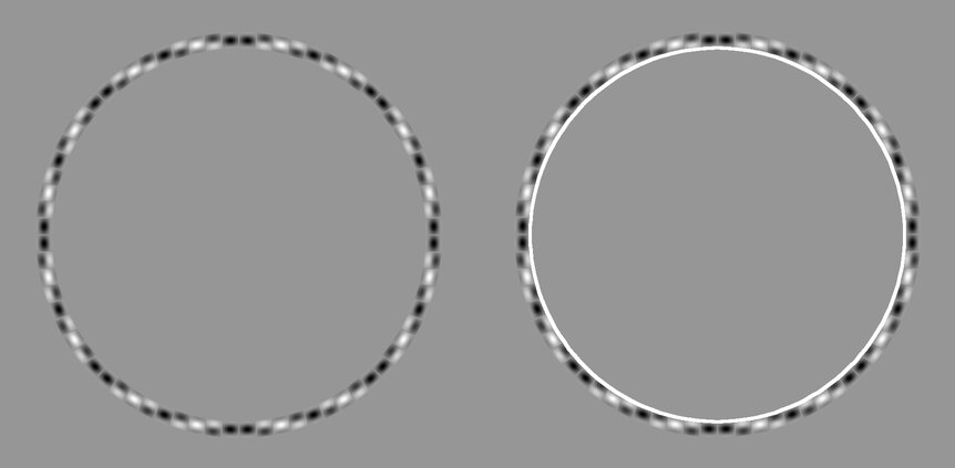 A side-by-side comparison with circles drawn over the illusion reveals they truly are concentric circles.