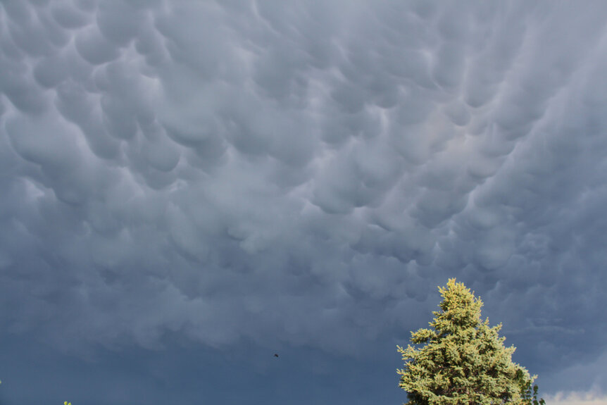 mammatus clouds over Colorado