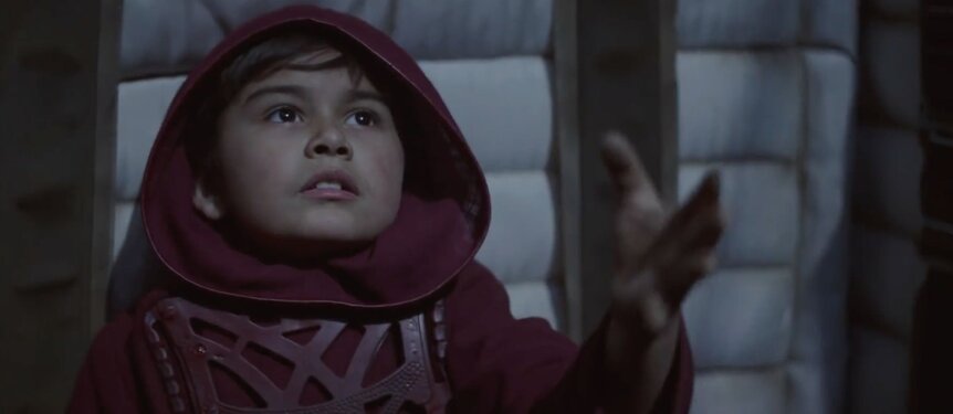 The Mandalorian (Young Child)