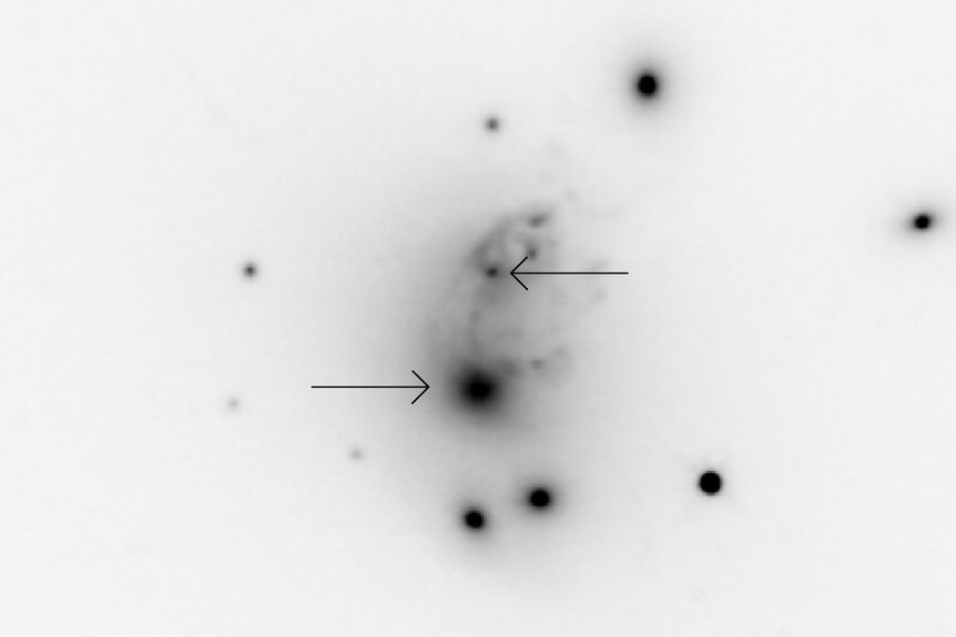 A supermassive black hole and remains of a small galaxy (upper arrow) are offset from the core of the brightest galaxy in the cluster ZwCl 8193 (lower arrow) by 27,000 light years. Note the faint filament connecting them. Credit: O’Dea et al.