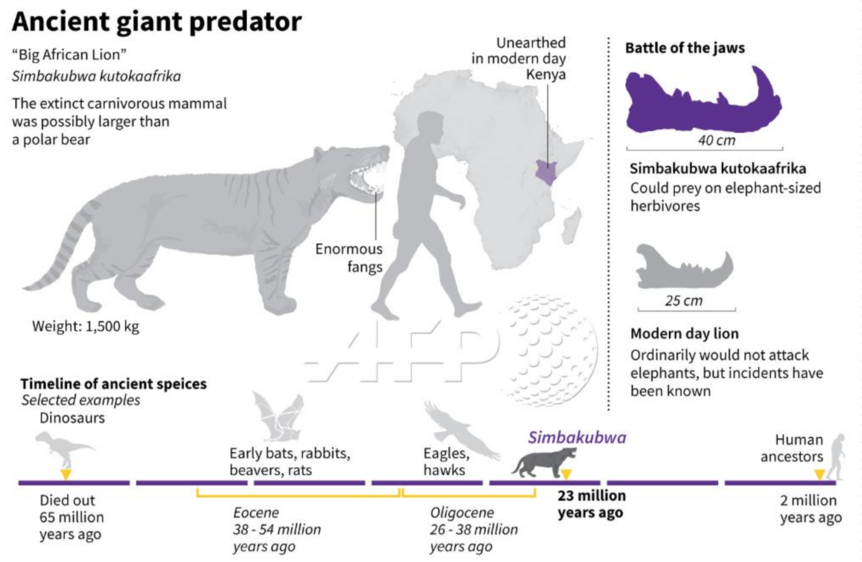 Paleo Lion Infographic