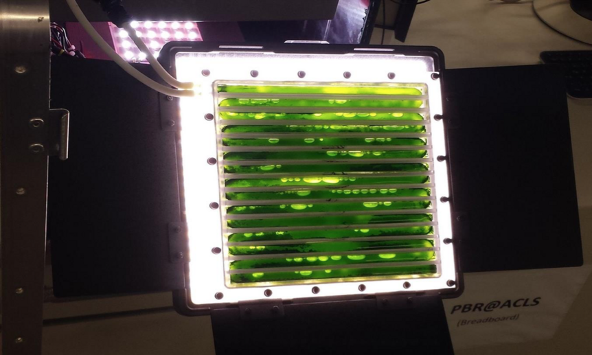 Photobioreactor on the ISS