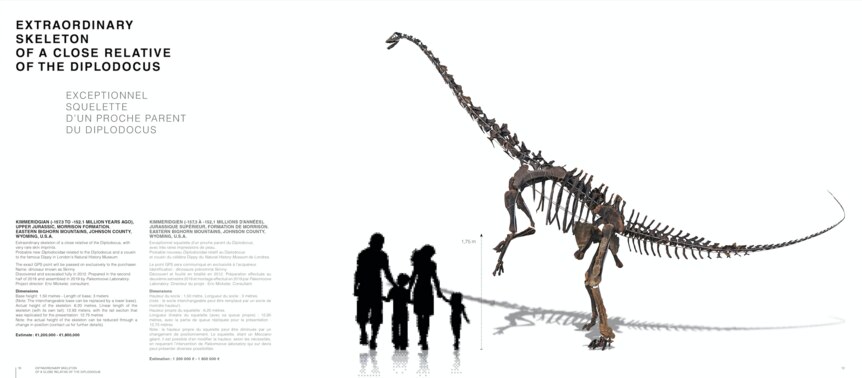 Skinny dinosaur skeleton