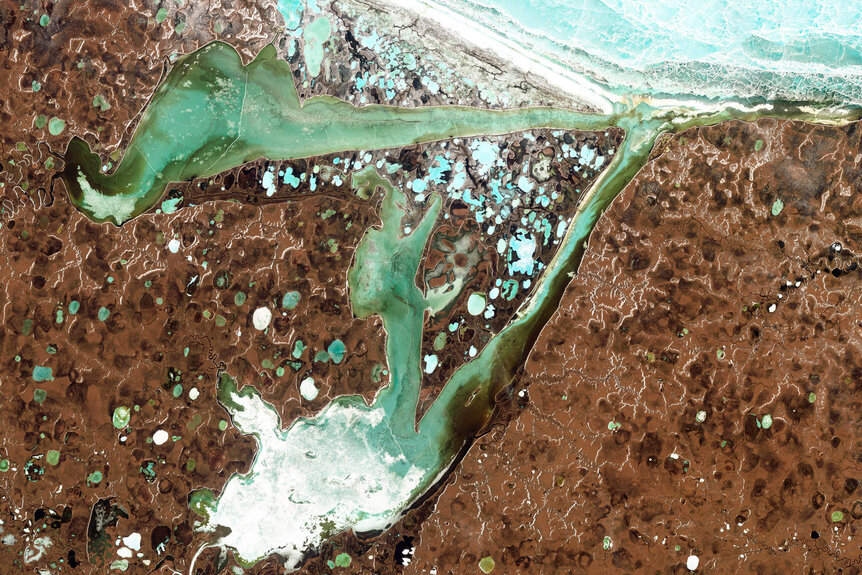In northern Siberia, lakes are scattered around Omulyakhskaya (top) and Khromskaya (bottom) Bays. Melting permafrost supplies water to the lakes, which are also the sites of methane release. Credit: NASA Earth Observatory / Jesse Allen and Robert Simmon