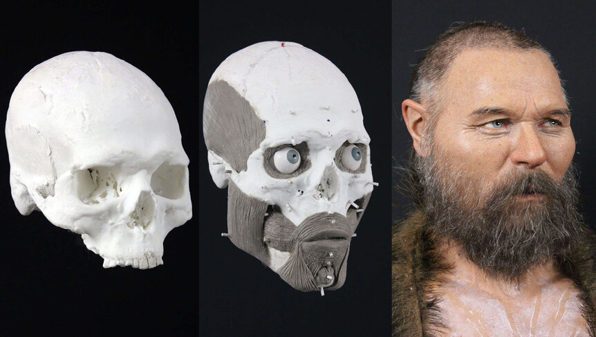 reconstruction of Mesolithic man