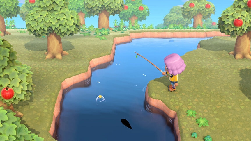 Animal Crossing Fishing