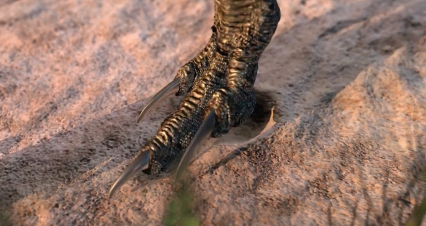 Vespersaurus Toe