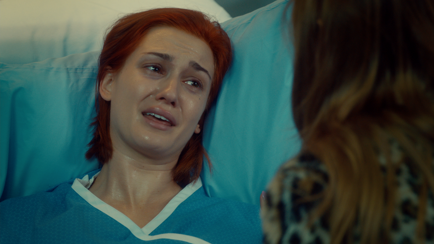 wayhaught_210_7.png