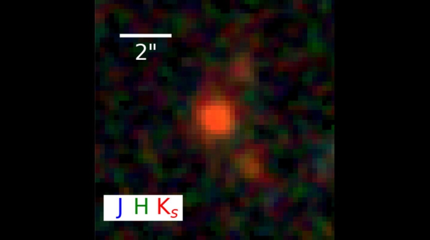 An infrared image of the distant and very young galaxy XMM-2599 indicates it’s more massive than the Milky Way, but peculiarly is no longer forming new stars [J, H, and K refer to infrared colors, and the scale bar is 2 arcseconds]. Credit: Forrest et al.