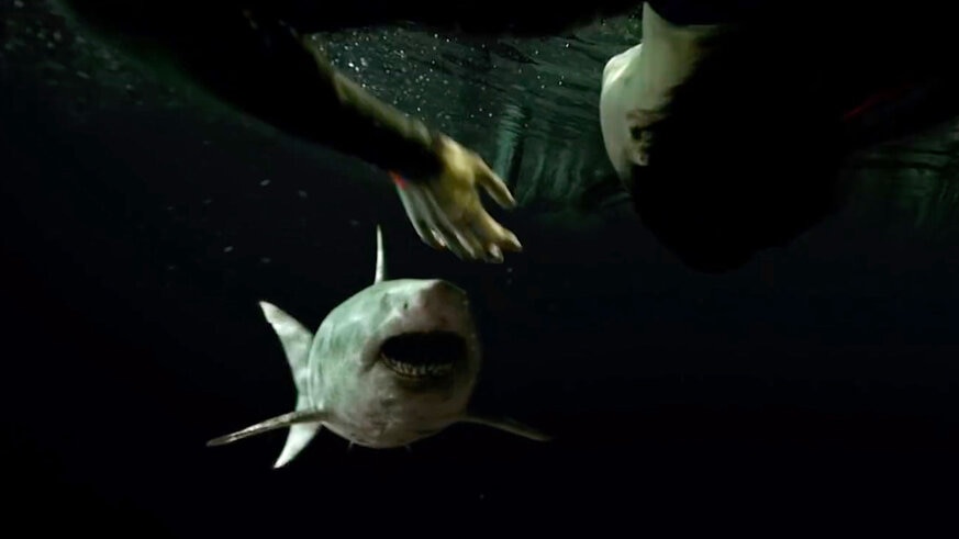 A shark attacks in horror sequel to 47 Meters Down