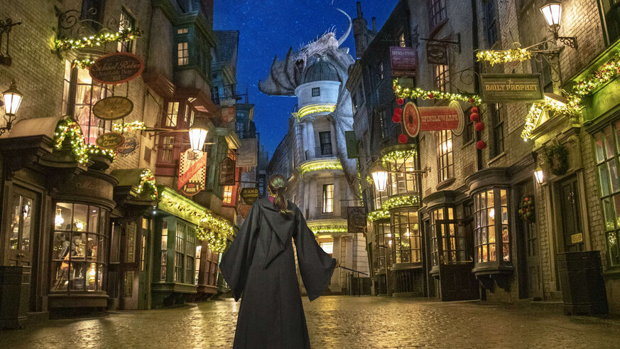 Person standing in Diagon Alley