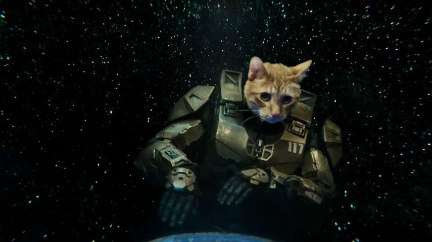 Master Chief cat Xbox Series X ad
