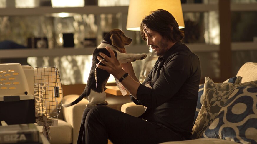 John Wick - Keanu Reeves and dog