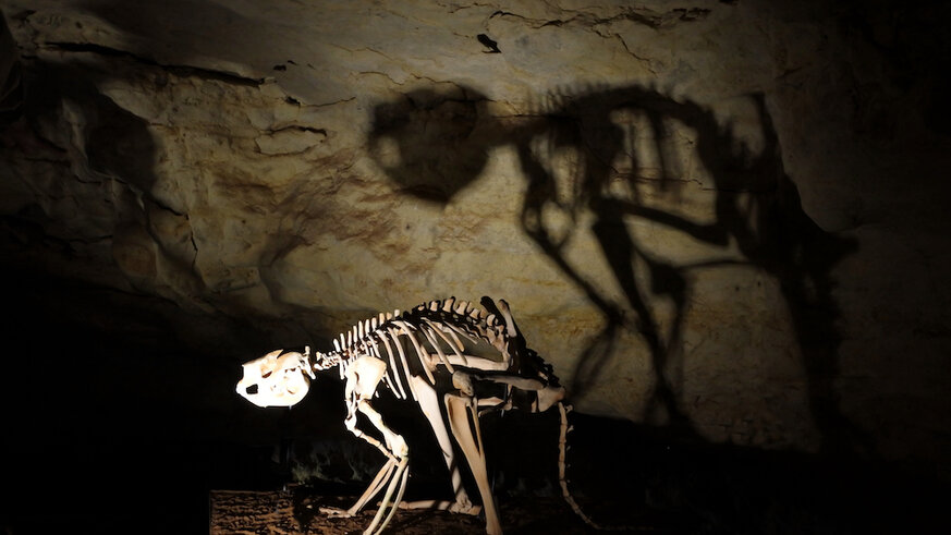 Liz Victoria Fossil Cave GETTY