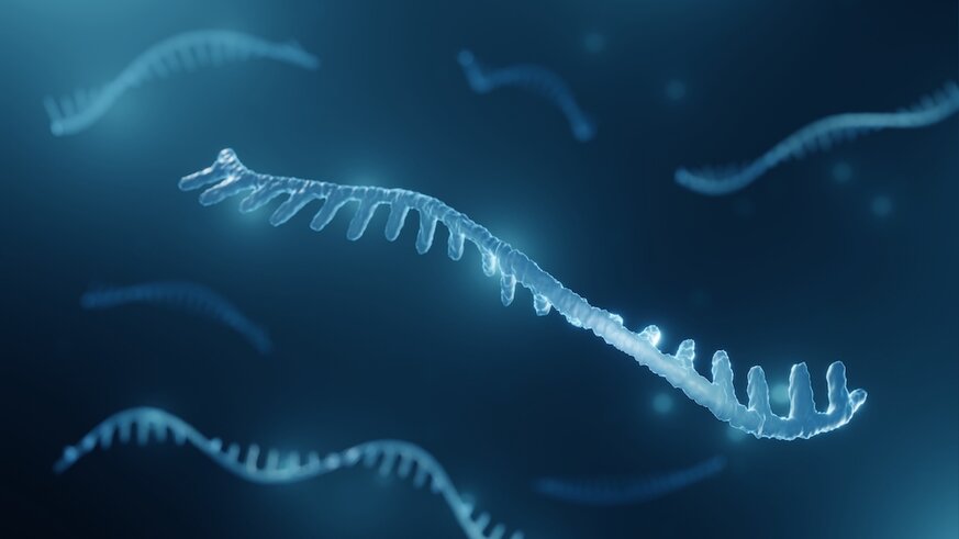 Illustration of micro RNA.