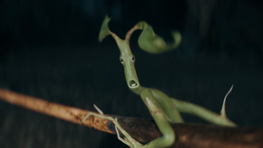 Pickett the Bowtruckle