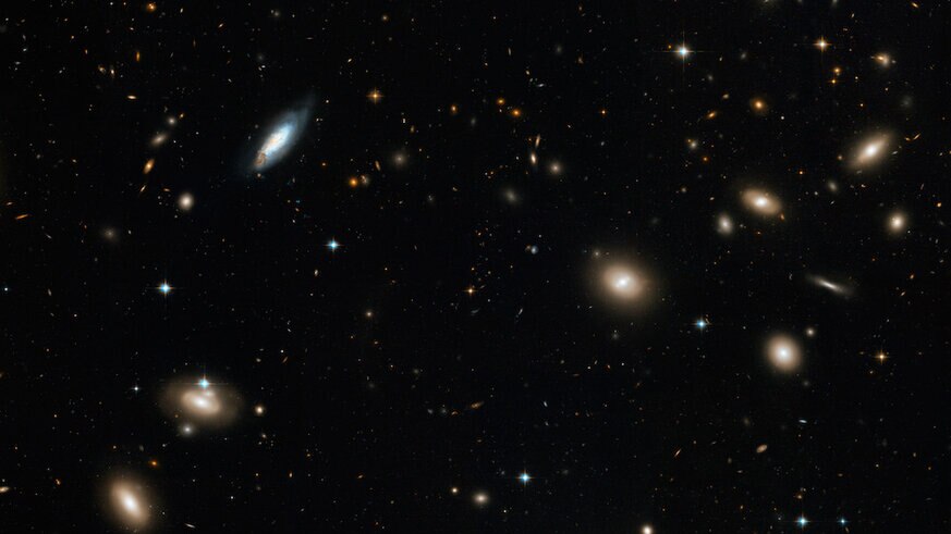 The Coma Cluster