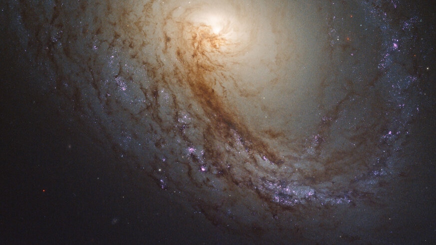 The nearby spiral galaxy M96, observed by Hubble Space Telescope. Credit: NASA, ESA, and the LEGUS team