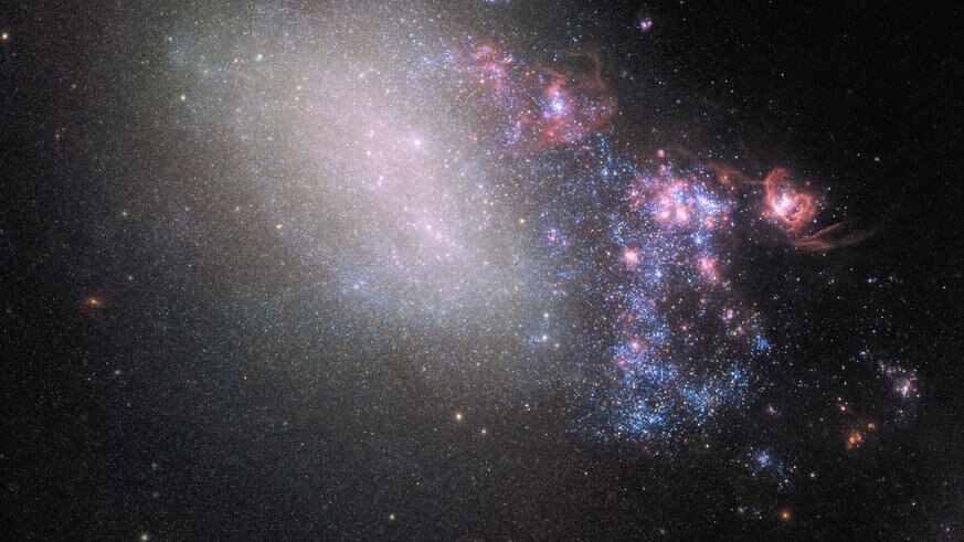 The dwarf irregular galaxy NGC 4485 has a lot of gas and star formation going on either in it or nearby, due to the influence of another galaxy.