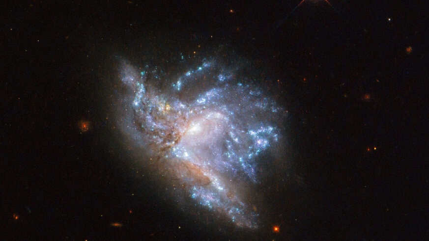 NGC 6052 is a pair of colliding spiral galaxies, part of a survey to look at star clusters that form in the aftermath. Credit: ESA/Hubble & NASA, A. Adamo et al.